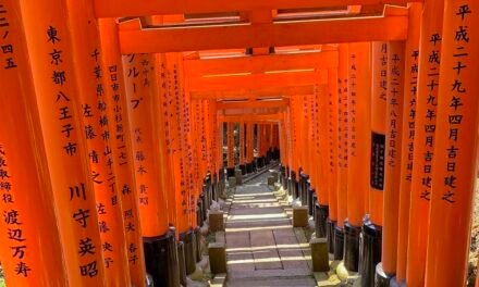 Entre los torii de Fushimi Inari