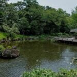 El jardín Momijiyama