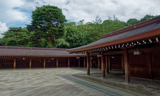 Paseando entre Shibuya y Shinjuku