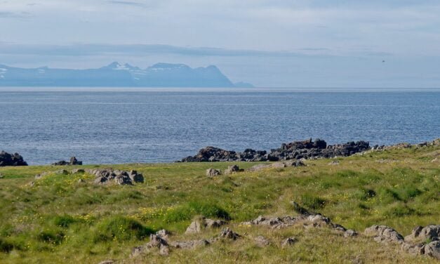 En la península de Vatnsnes