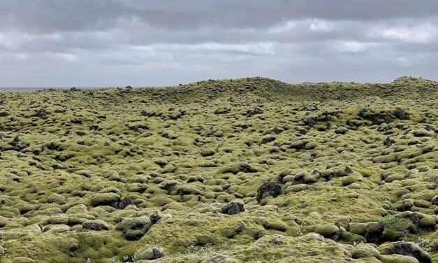 Los campos de musgo de Eldhraun