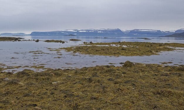 De Heydalur a Ísafjörður