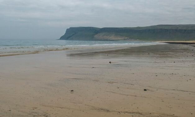 Una excursión desde Patreksfjörður