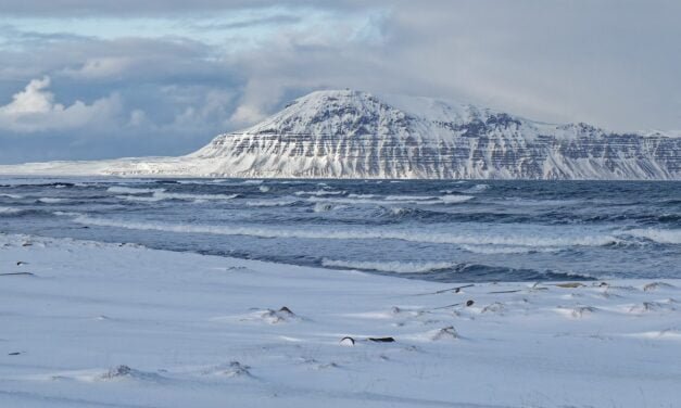Bakkaflói, la costa de la desolación