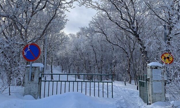 Los bosques de Islandia