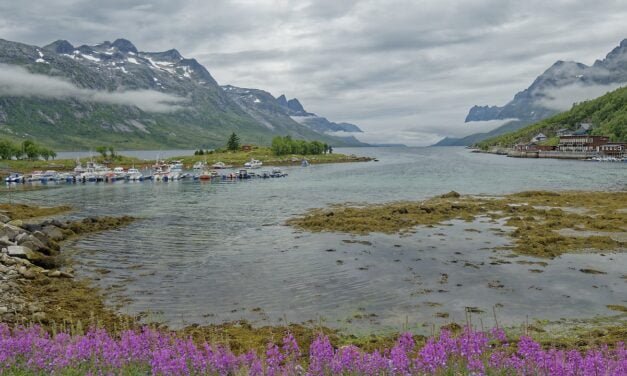 Kvaløya, la desconocida