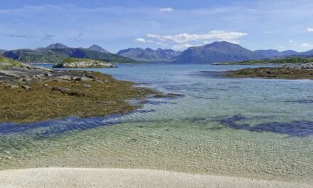 Sommarøya, la isla del verano