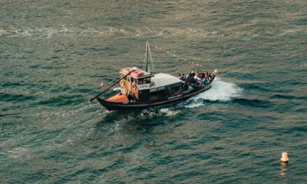 Los rabelos: conociendo el puerto de Oporto