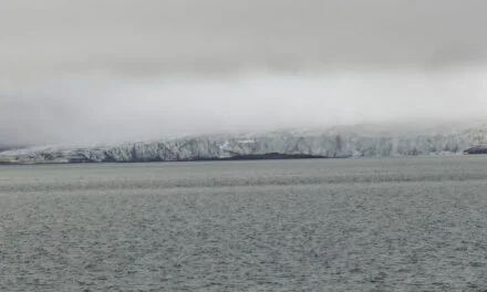 Freemanbreen: un glaciar entre la niebla