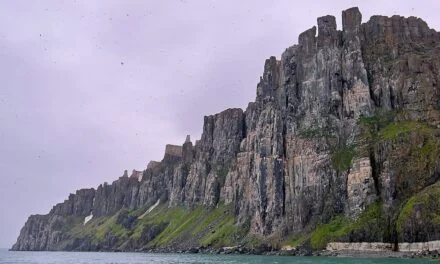 Alkefjellet