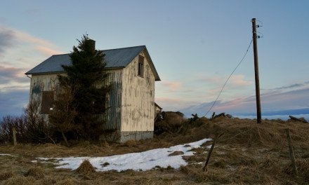 Islandia y sus granjas