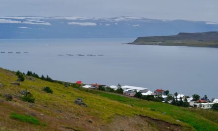 ¿Otra vez Ísafjörður?