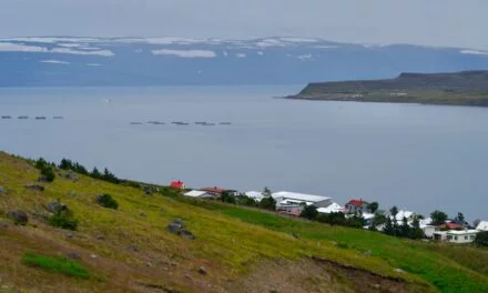 ¿Otra vez Ísafjörður?