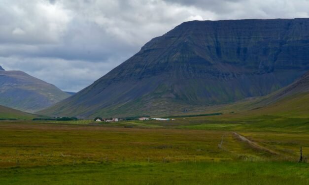 Una excursión desde Ísafjörður