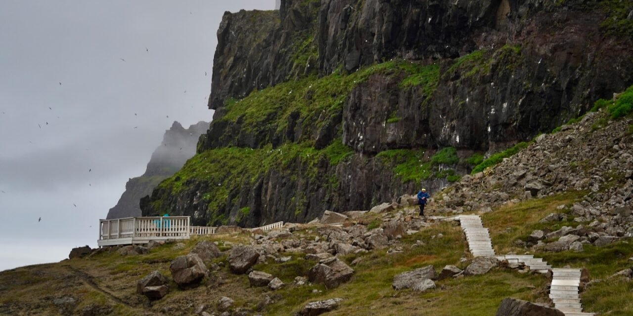 Una excursión a Skálanes