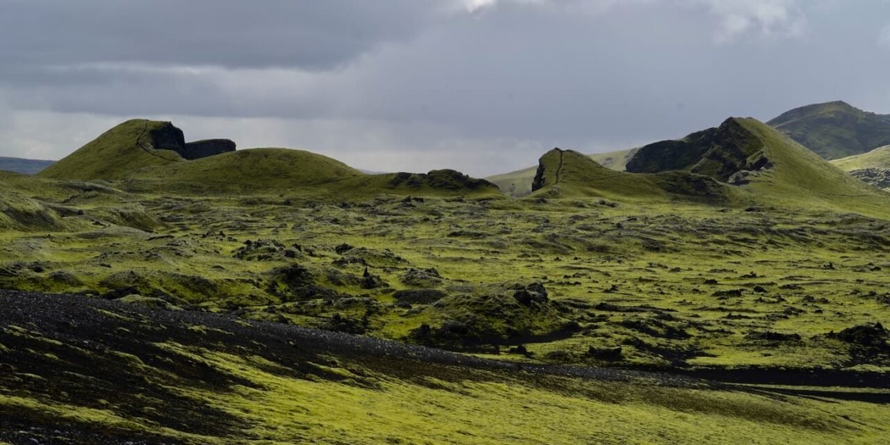 Una larga excursión a Lakagígar