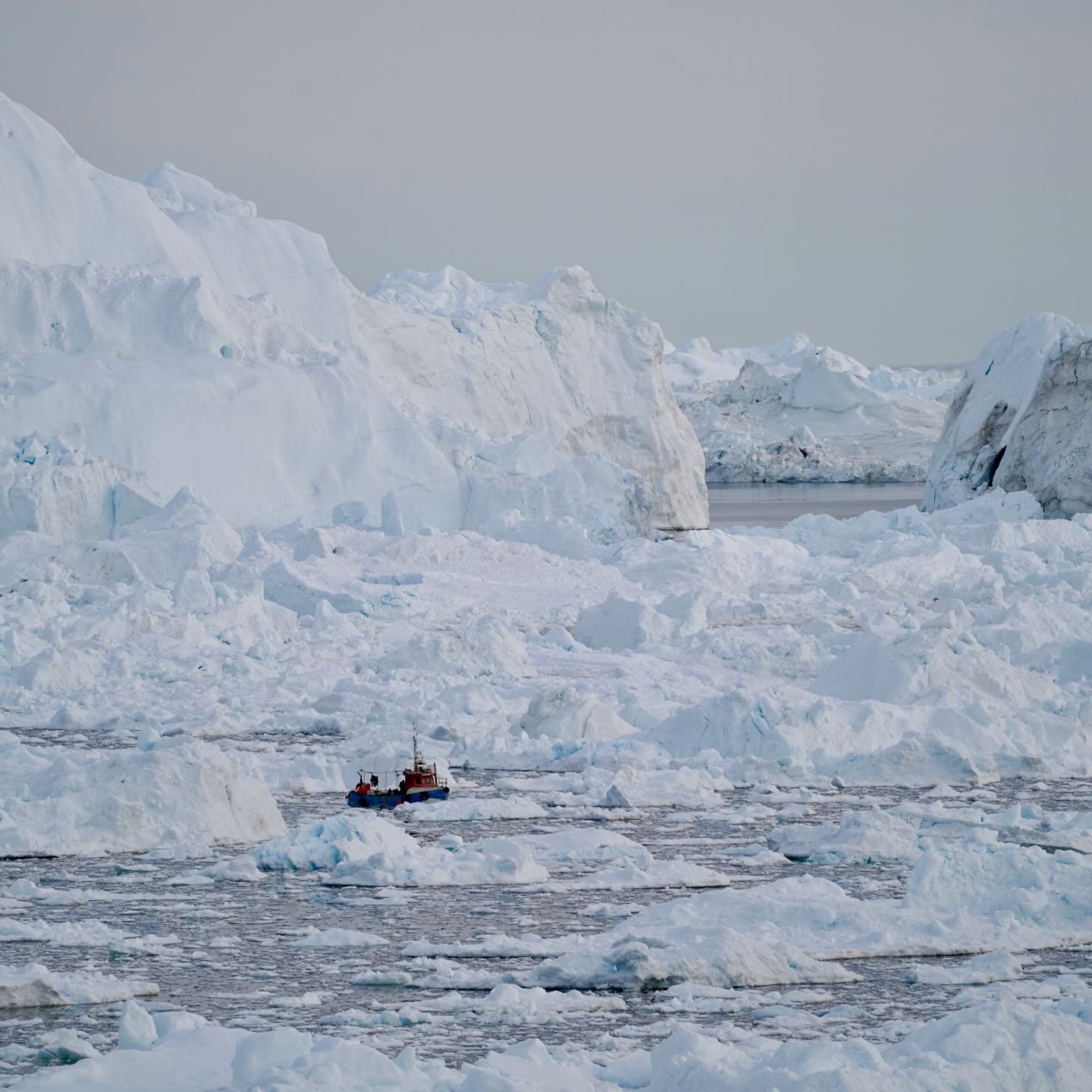 El Nukariit III faenando en el Kangia