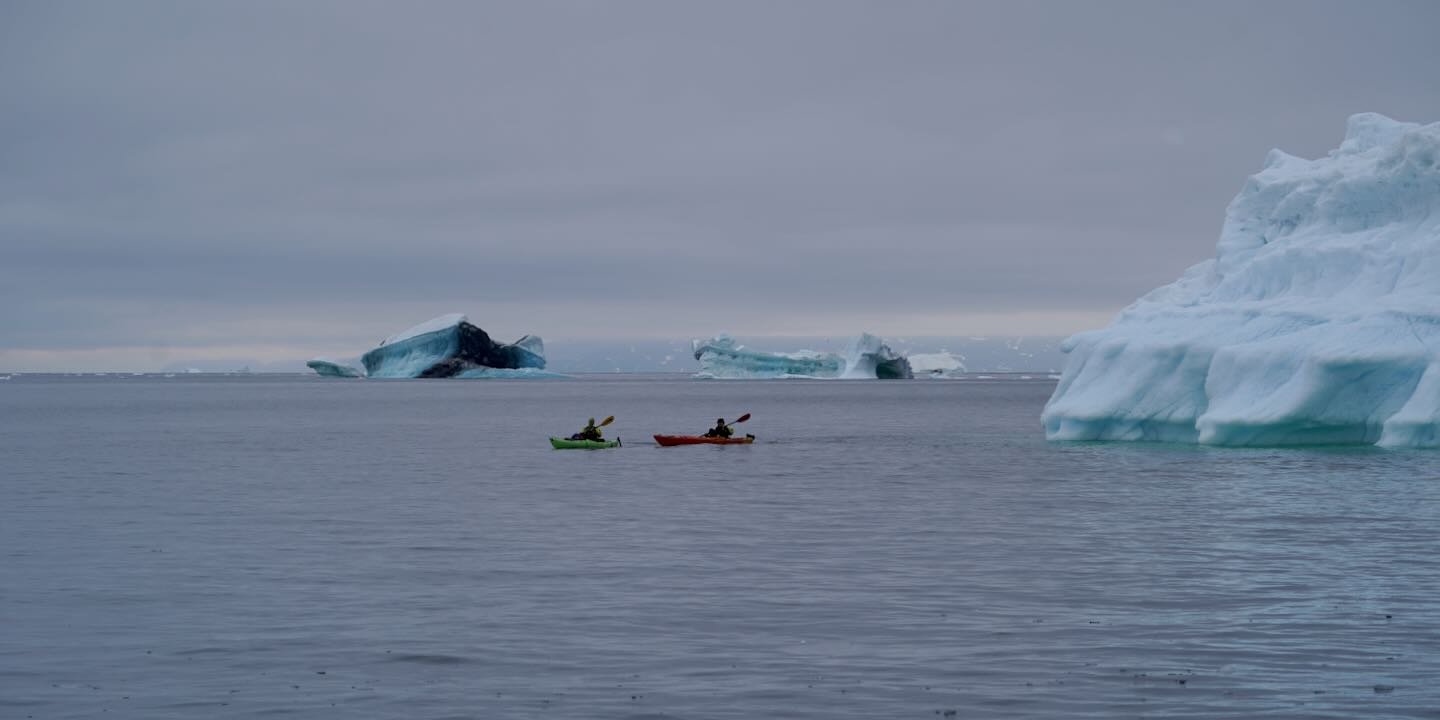 Kayaks en Disko Bugt