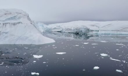 Once días en Groenlandia