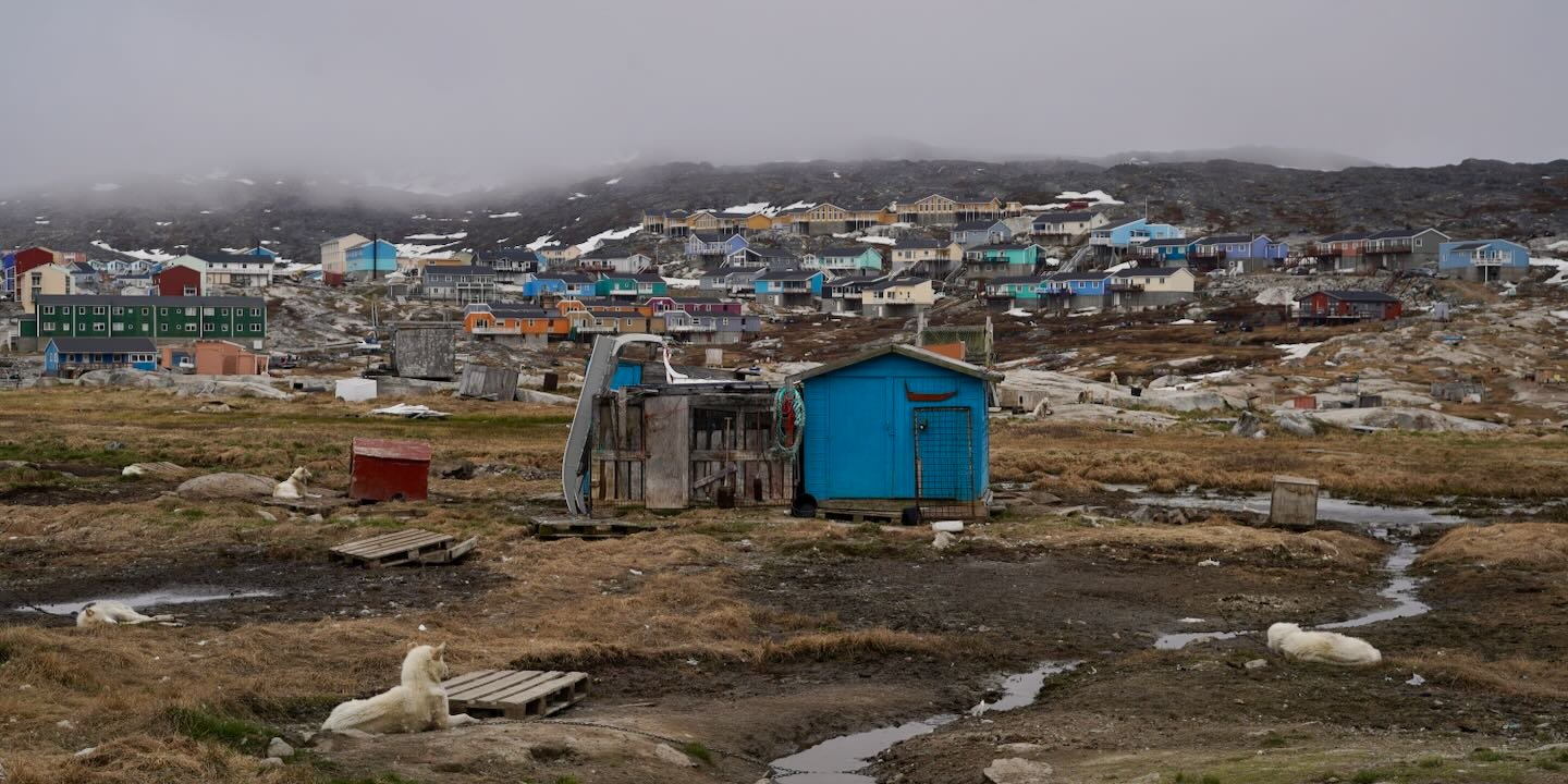 Perros entre el barro