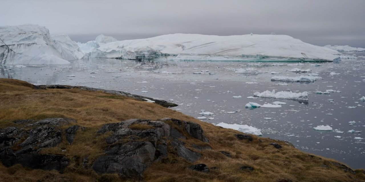 Recorriendo la senda amarilla