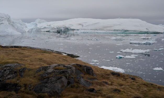 Recorriendo la senda amarilla