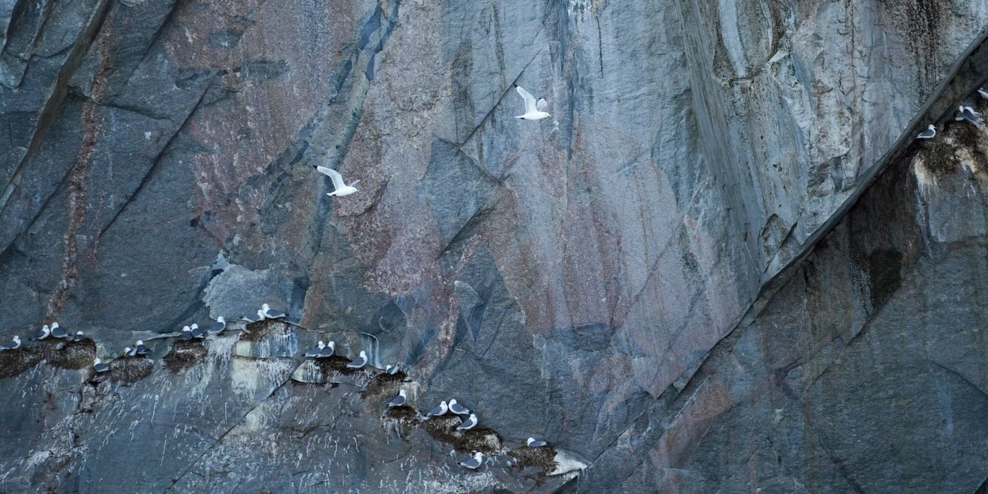 Volando frente a las rocas
