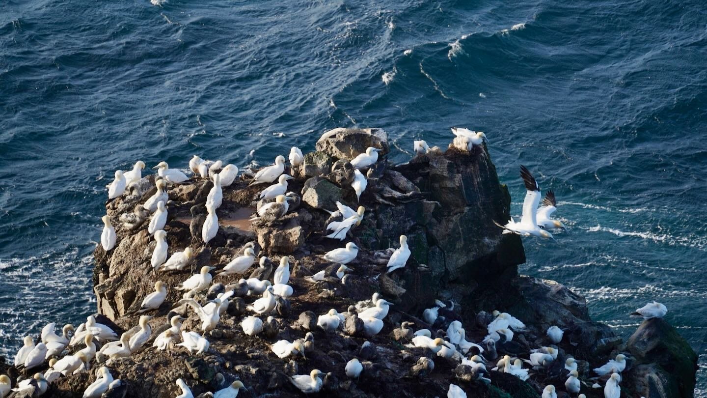 Stóri Karl Stóri Karl