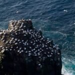 Langanes, la «península larga»