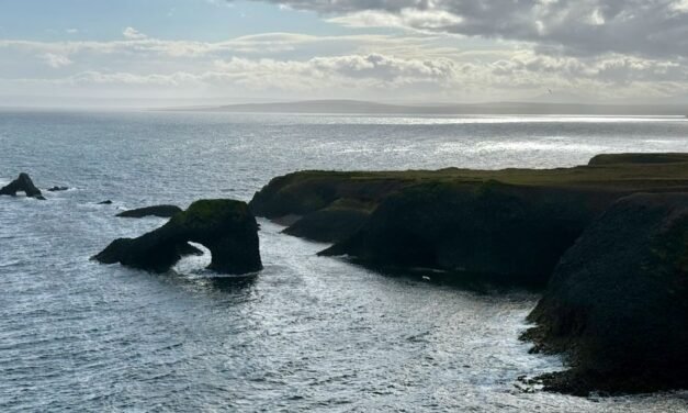 Una excursión a Rauðanes