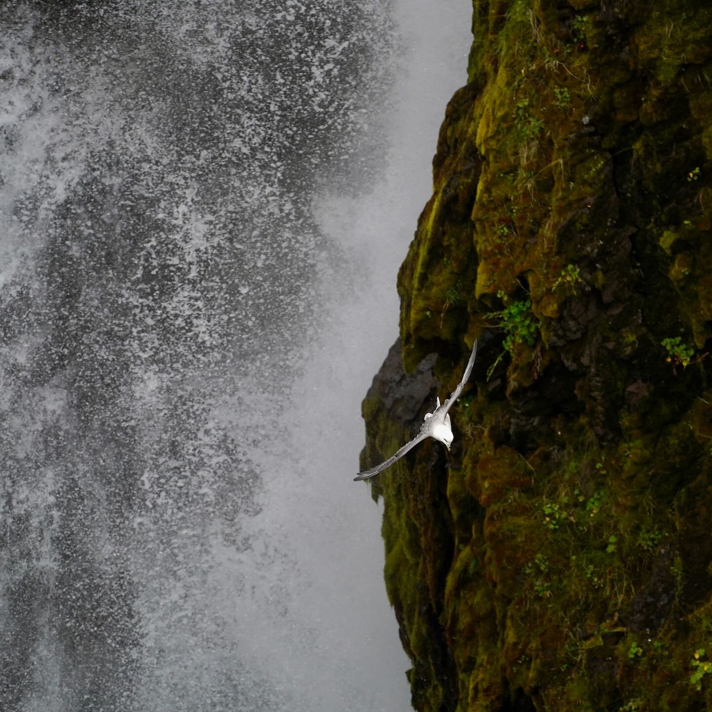 Volando junto a Gljúfursárfoss