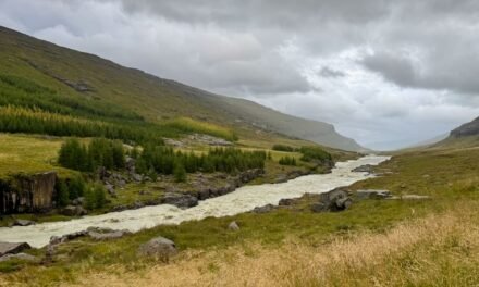 De Möðrudalur a Hallormsstaðaskógur