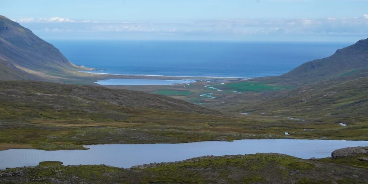 Vöðlavíkurvegur