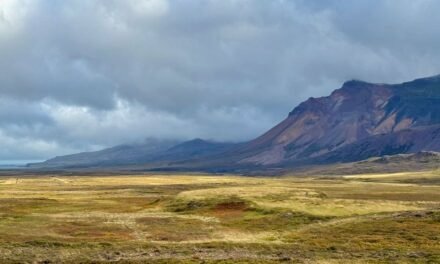 Loðmundarfjarðarvegur entre la niebla