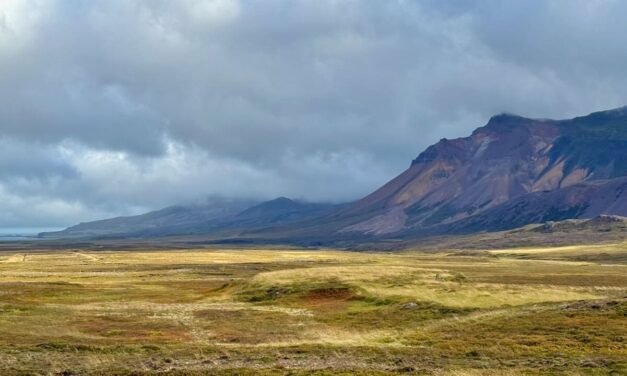 Loðmundarfjarðarvegur entre la niebla