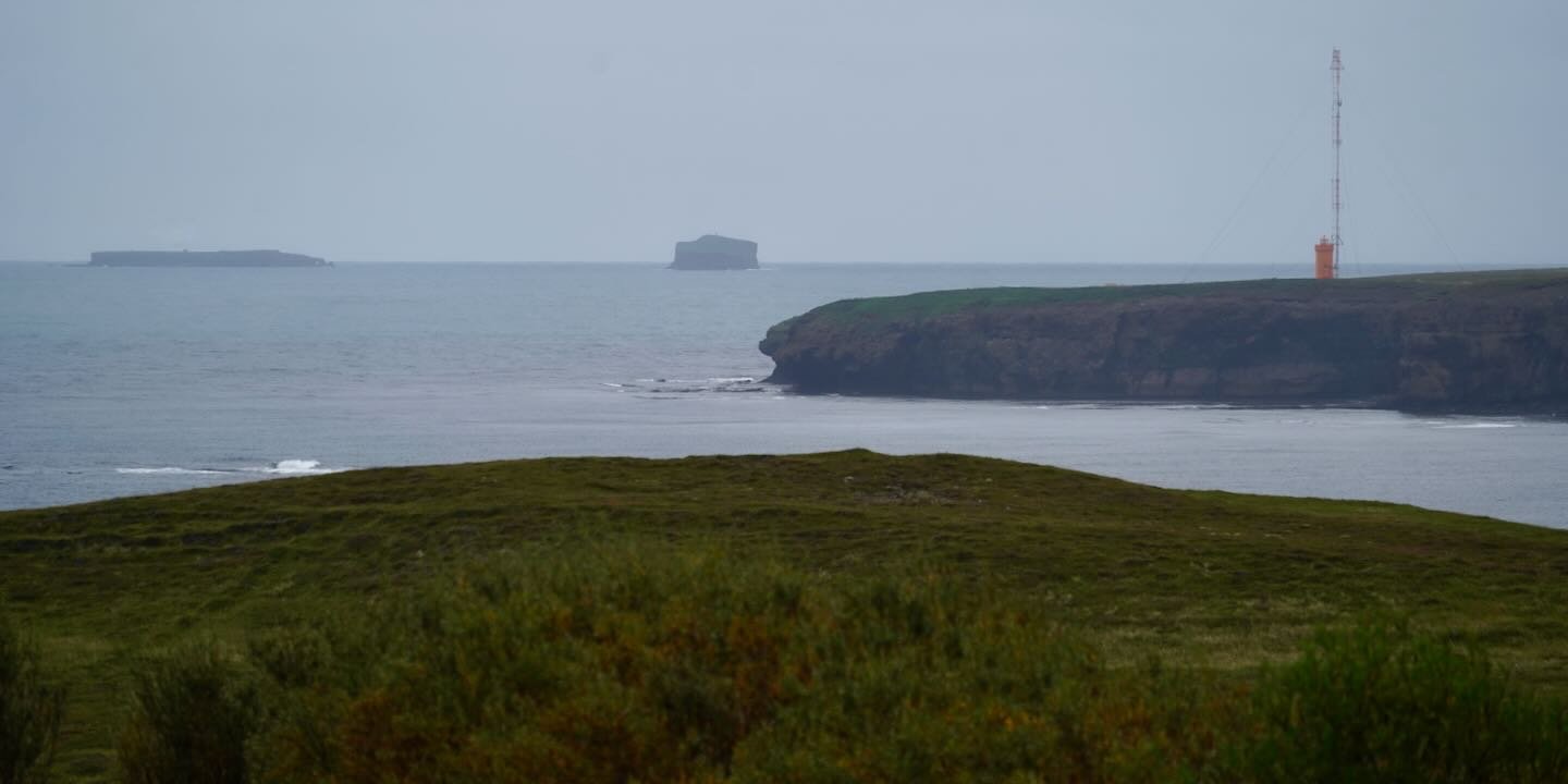 Tjörnesviti