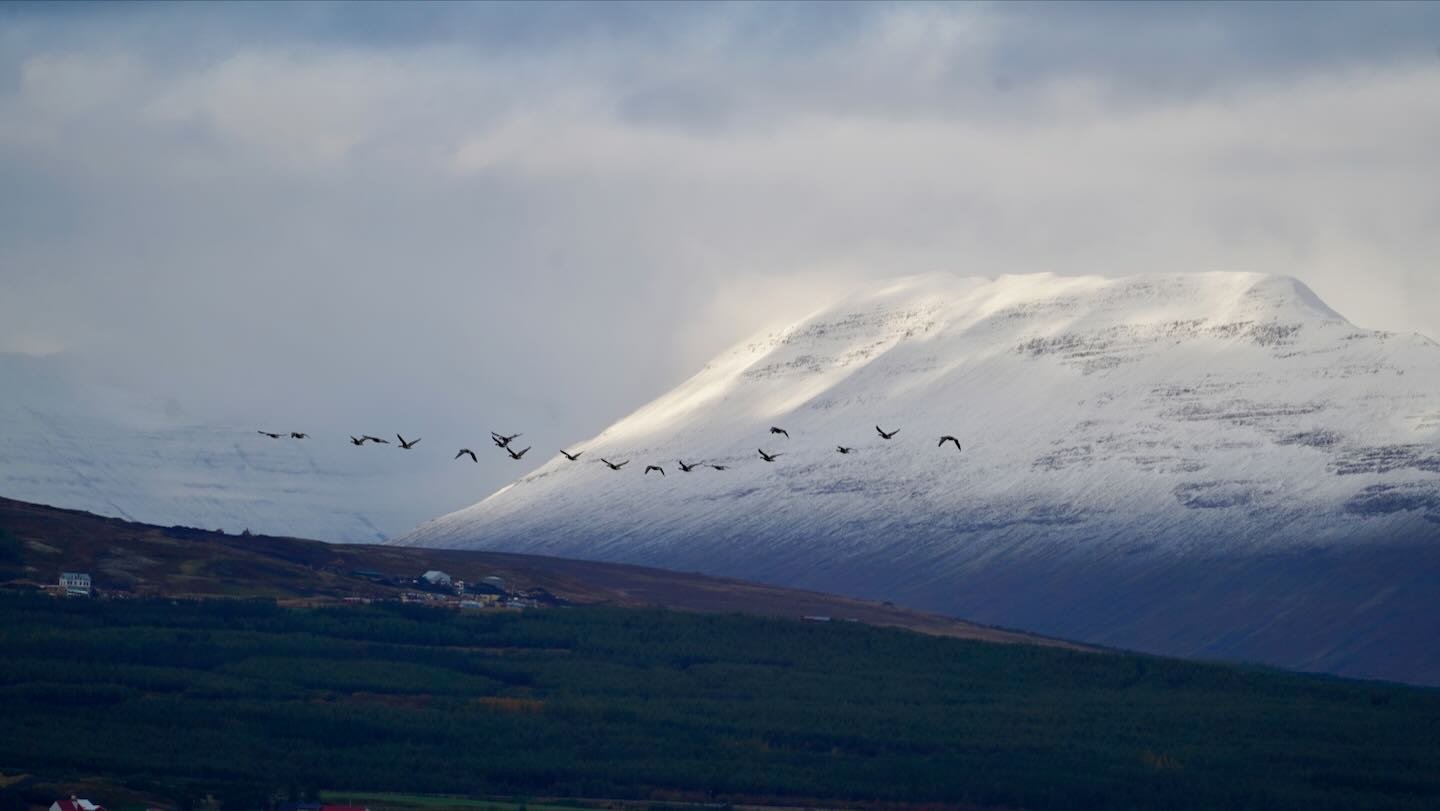 Al otro lado del Eyjafjörður